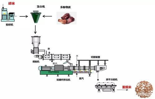 慢消化淀粉健康食品加工技術(shù)開(kāi)發(fā)與研究成果